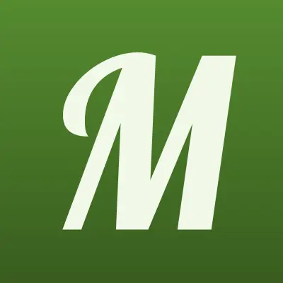 МЕЧТА, частный детский сад, лого-визитка